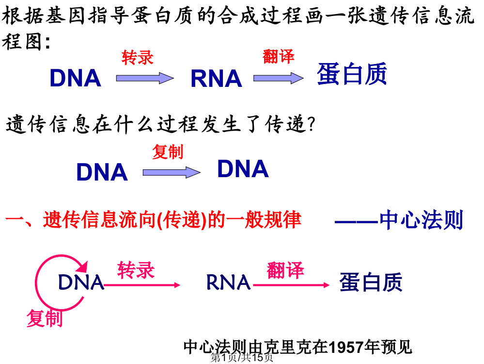 人教版教学件高三生物一轮复习之基因对性状控制