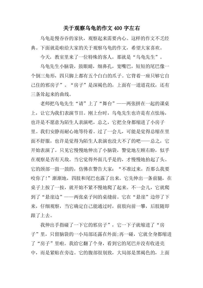 关于观察乌龟的作文400字左右