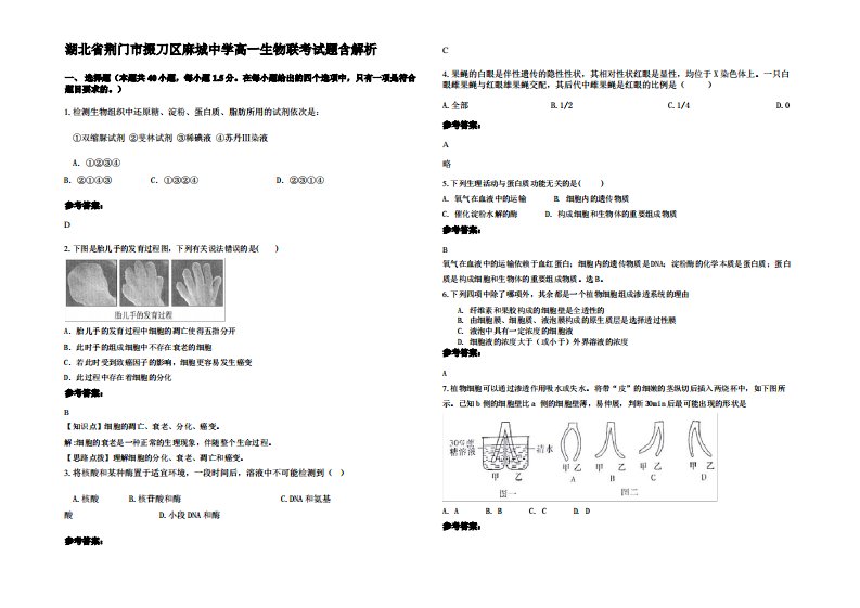 湖北省荆门市掇刀区麻城中学高一生物联考试题含解析