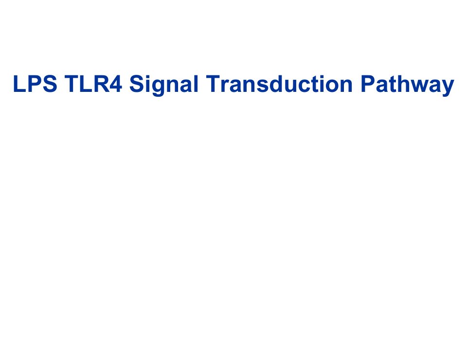 LPSTLR4信号通路课件