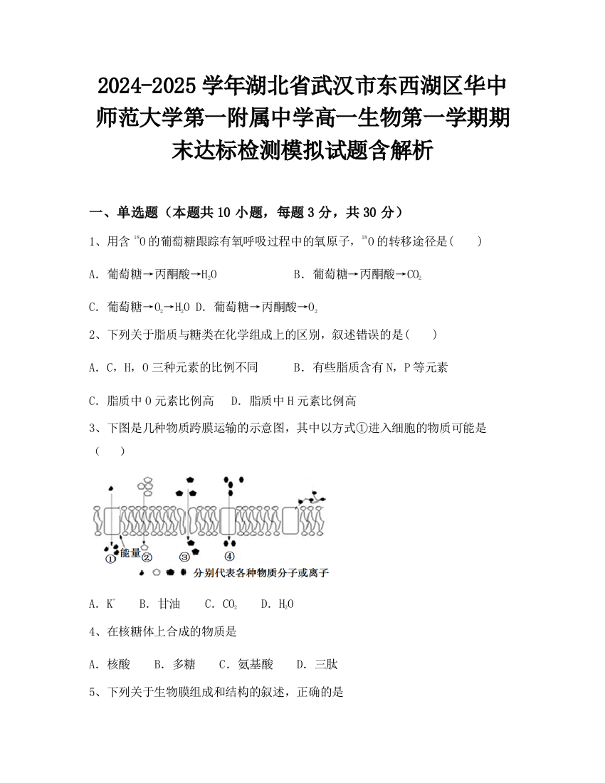 2024-2025学年湖北省武汉市东西湖区华中师范大学第一附属中学高一生物第一学期期末达标检测模拟试题含解析