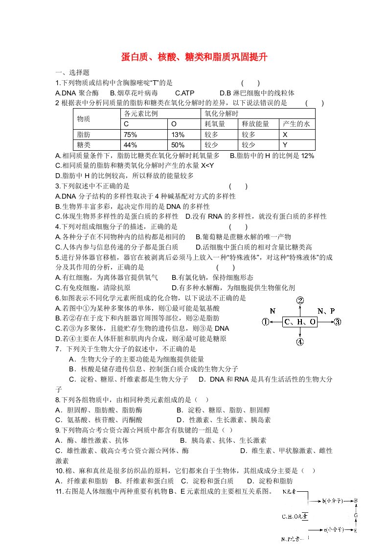 高三生物