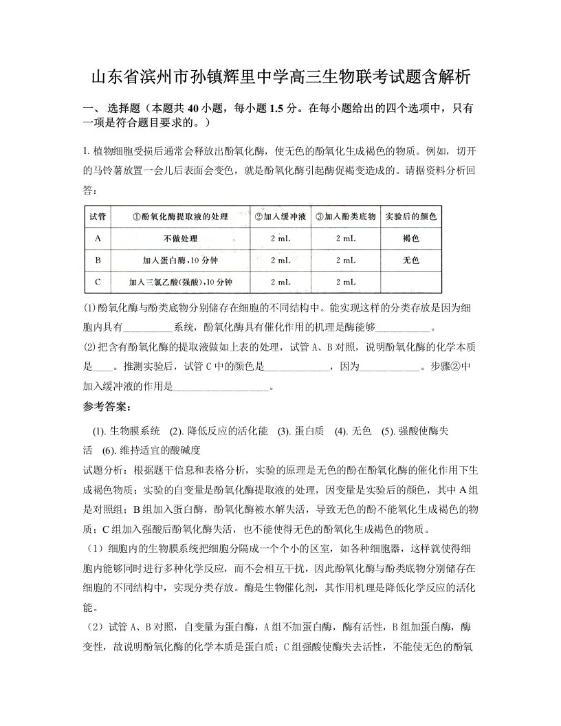 山东省滨州市孙镇辉里中学高三生物联考试题含解析