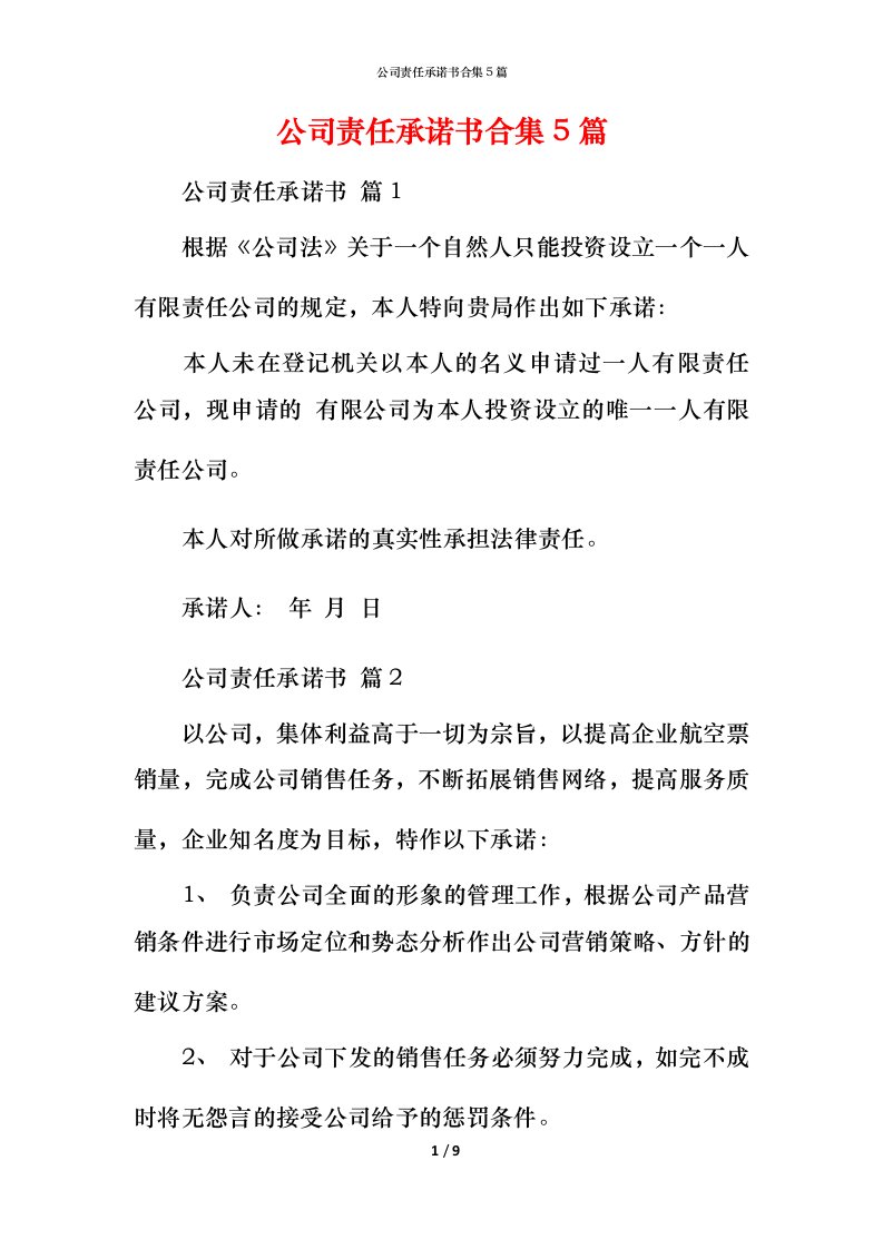 精编公司责任承诺书合集5篇