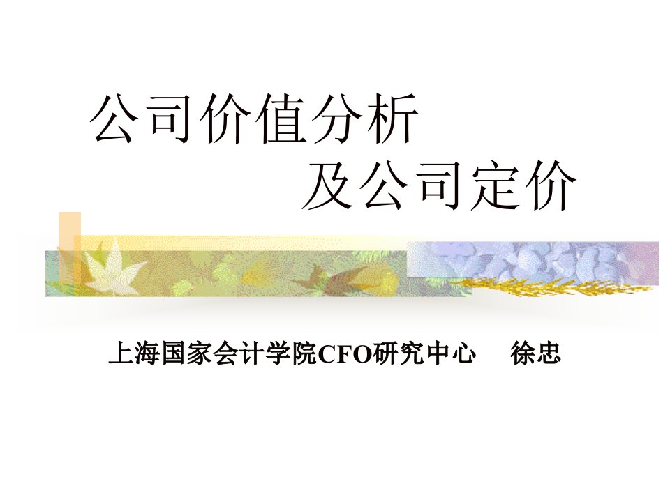 公司价值分析及公司定价(2)