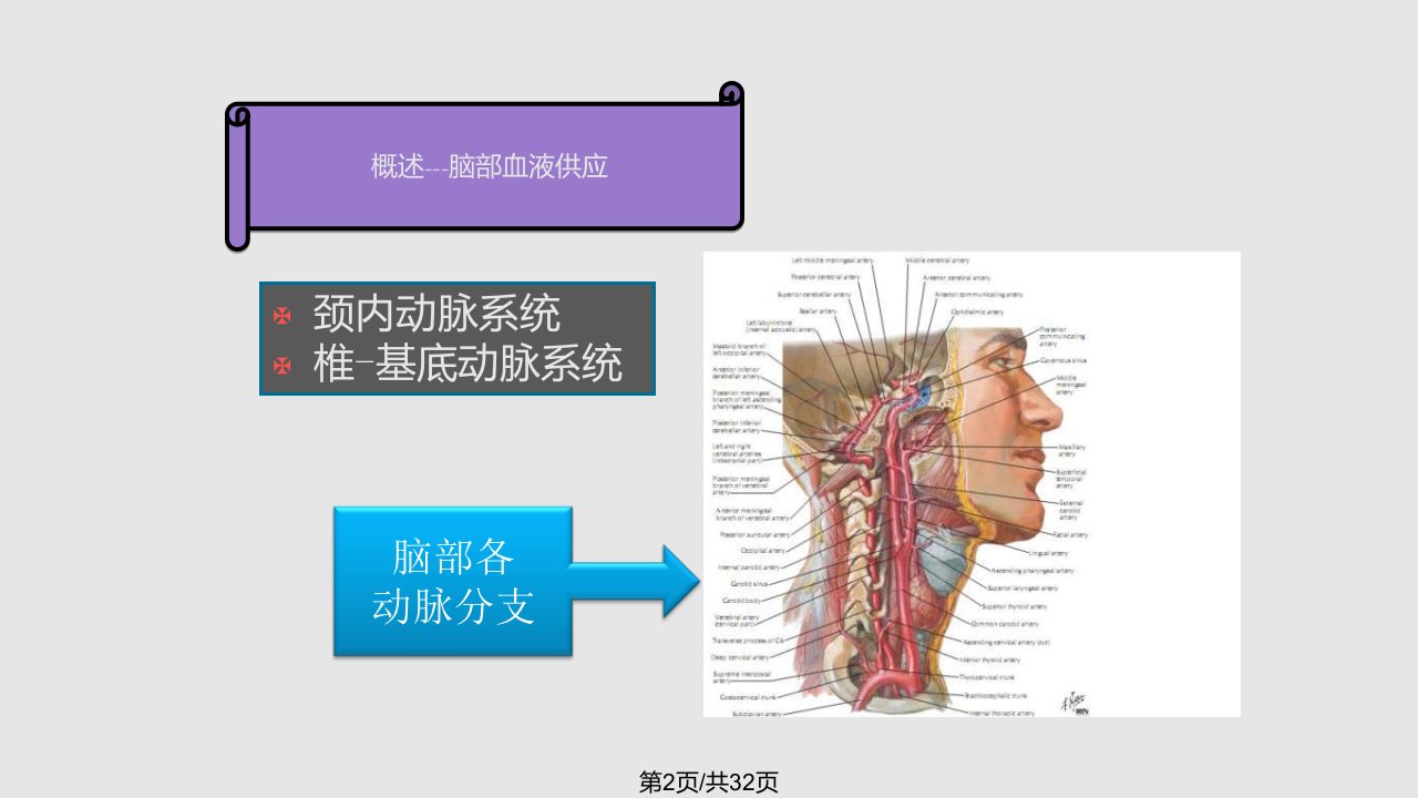 张博爱郑州大学第一附属医院