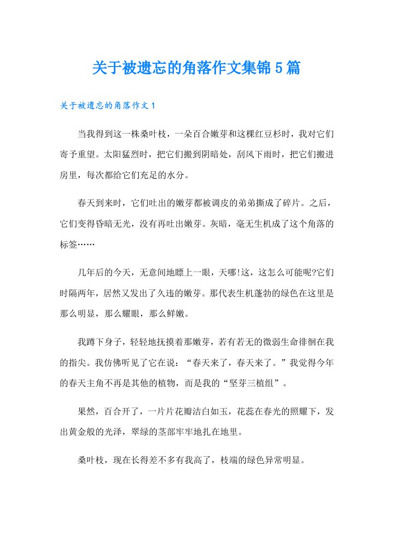 关于被遗忘的角落作文集锦5篇