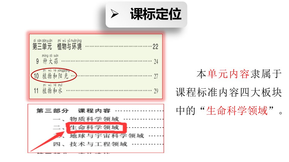 二年级上册科学课件9.种大蒜青岛版共26张