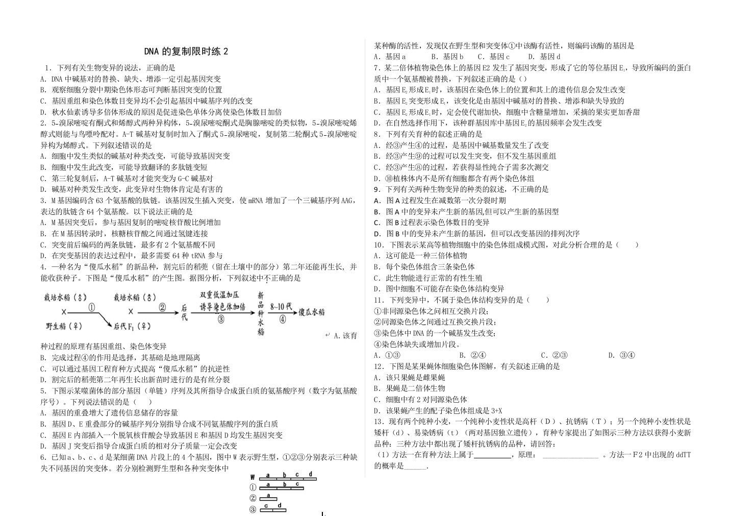 DNA的复制限时练2