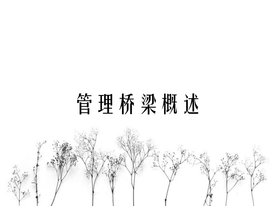 管理桥梁概述