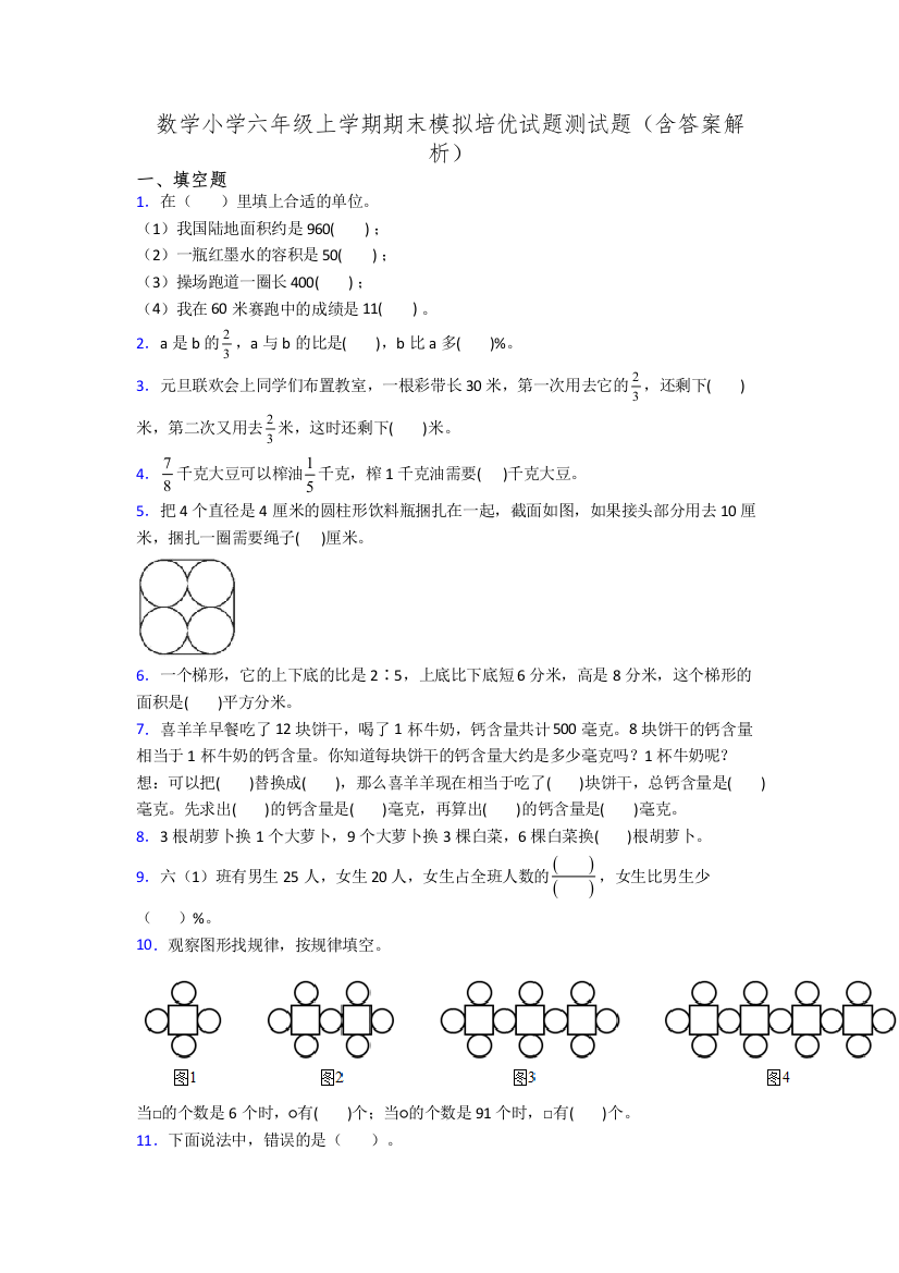 数学小学六年级上学期期末模拟培优试题测试题(含答案解析)