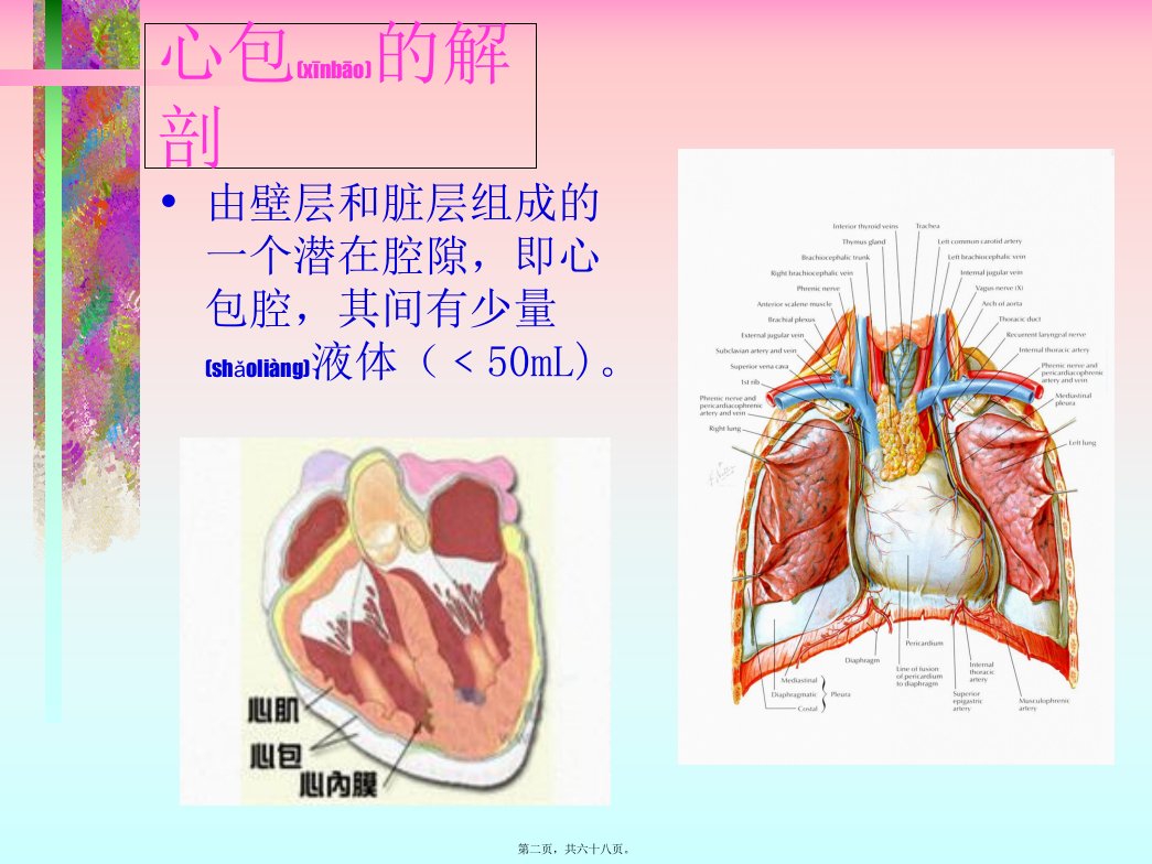 医学专题心包炎