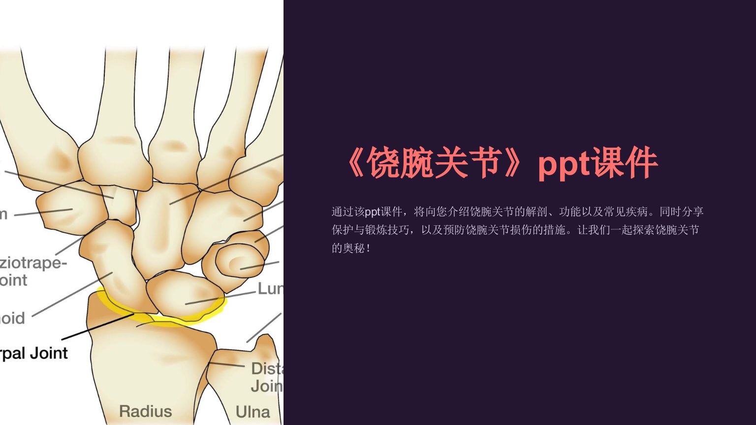 《饶腕关节》课件