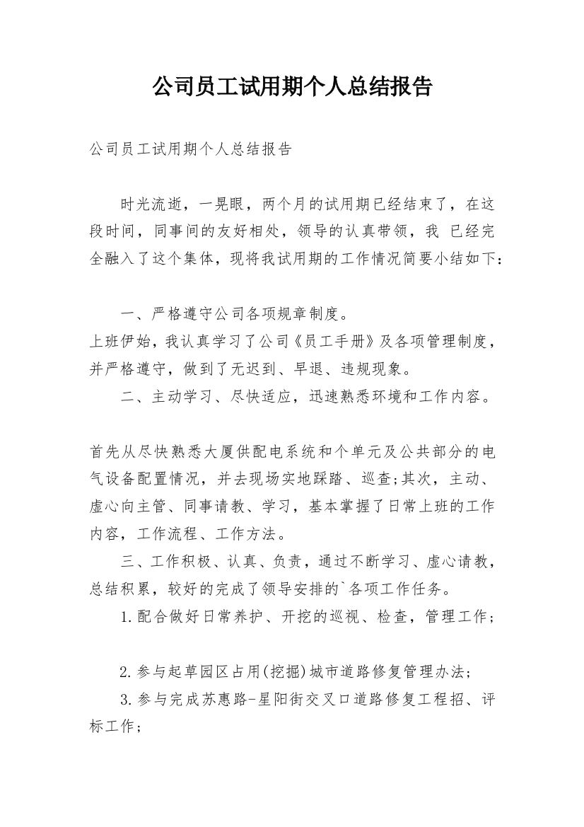 公司员工试用期个人总结报告