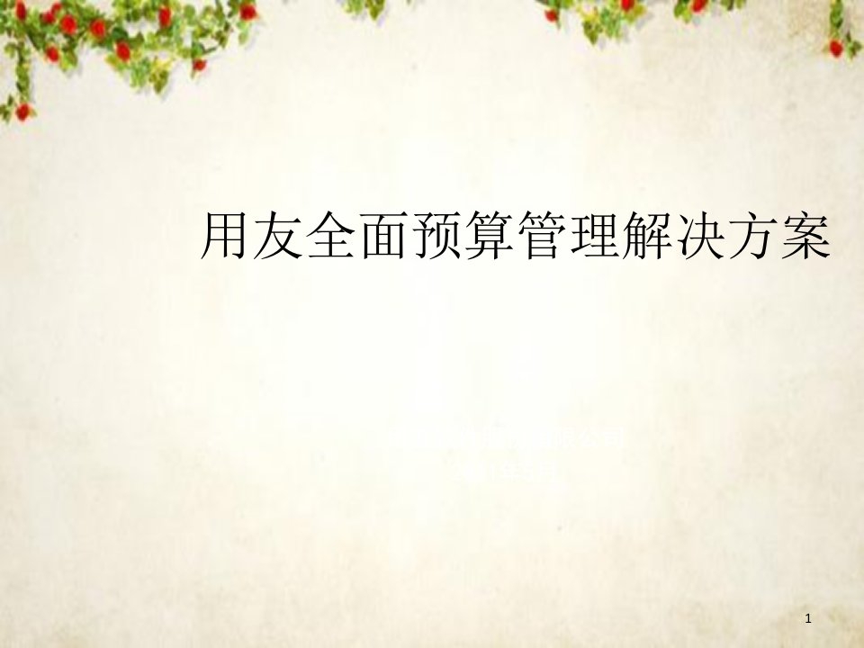 某全面预算管理解决方案课件