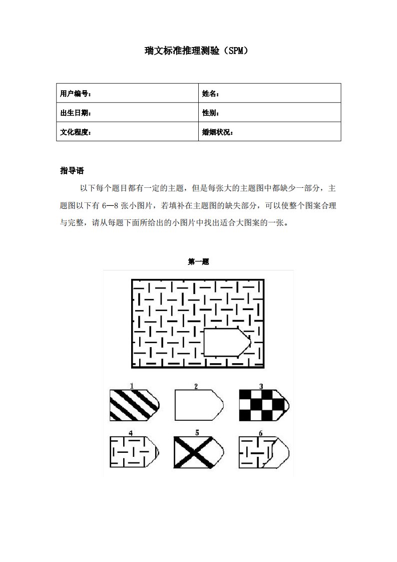 瑞文标准推理测验(SPM)