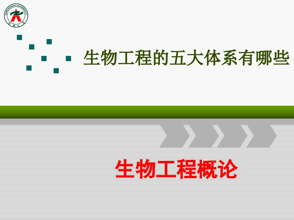 生物工程的五大体系有哪些PPT幻灯片