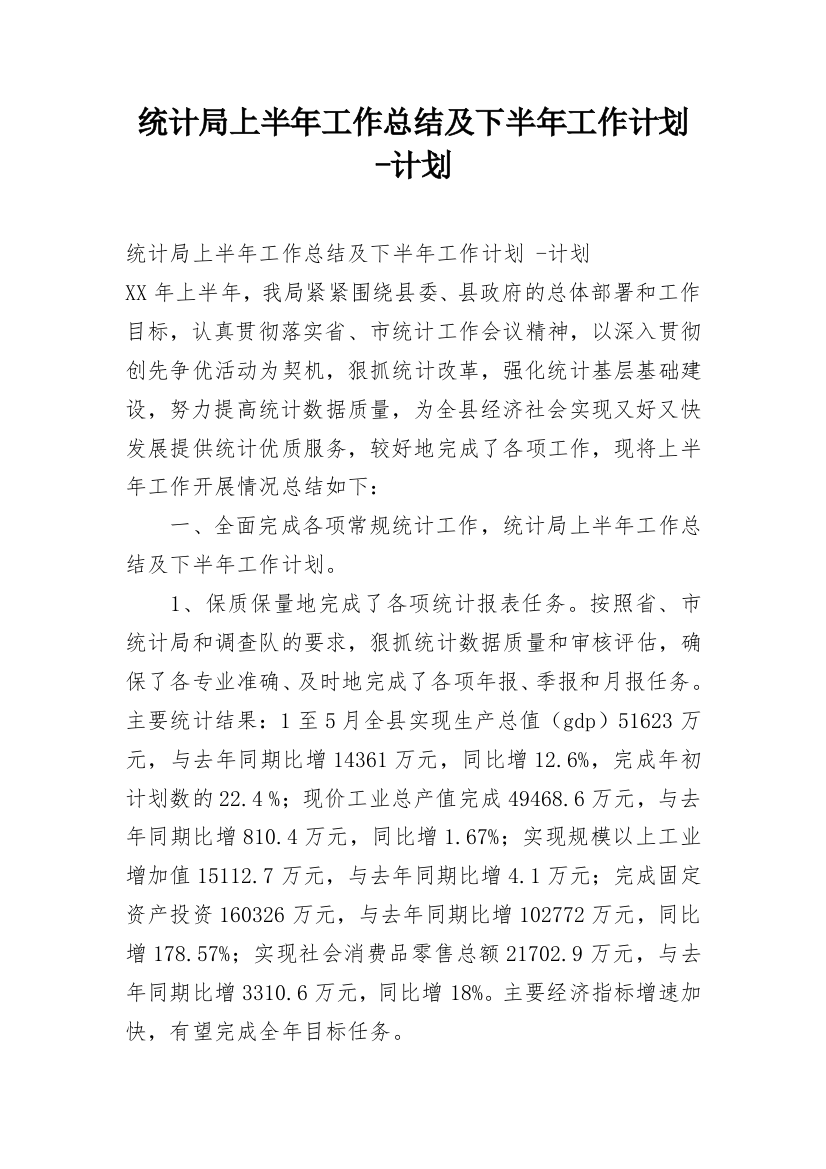 统计局上半年工作总结及下半年工作计划