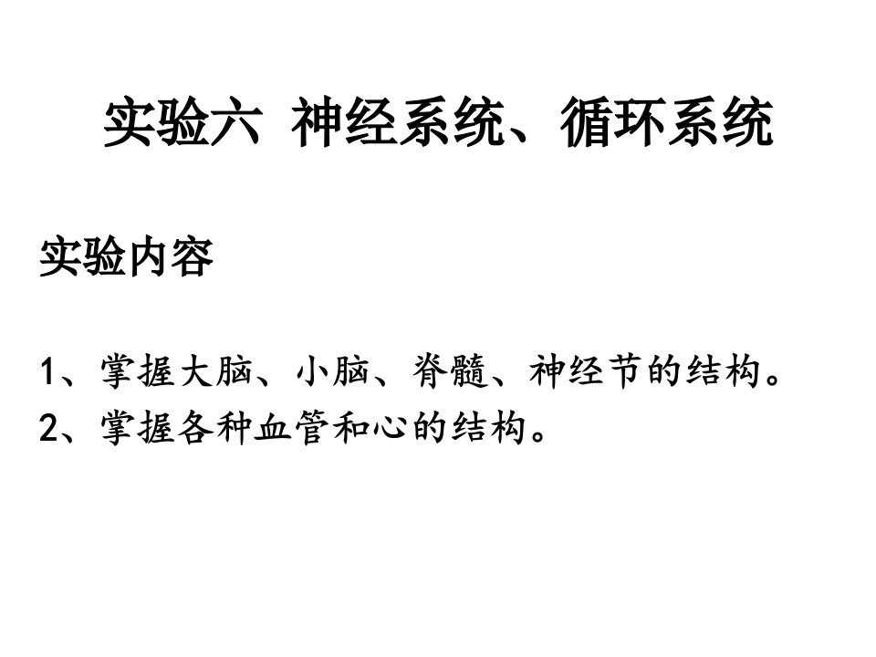 实验六神经系统、循环系统