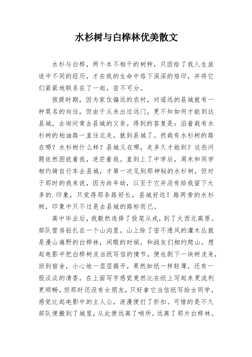 水杉树与白桦林优美散文