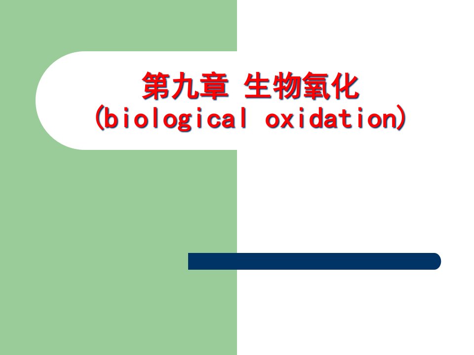 生物氧化00002省名师优质课赛课获奖课件市赛课一等奖课件