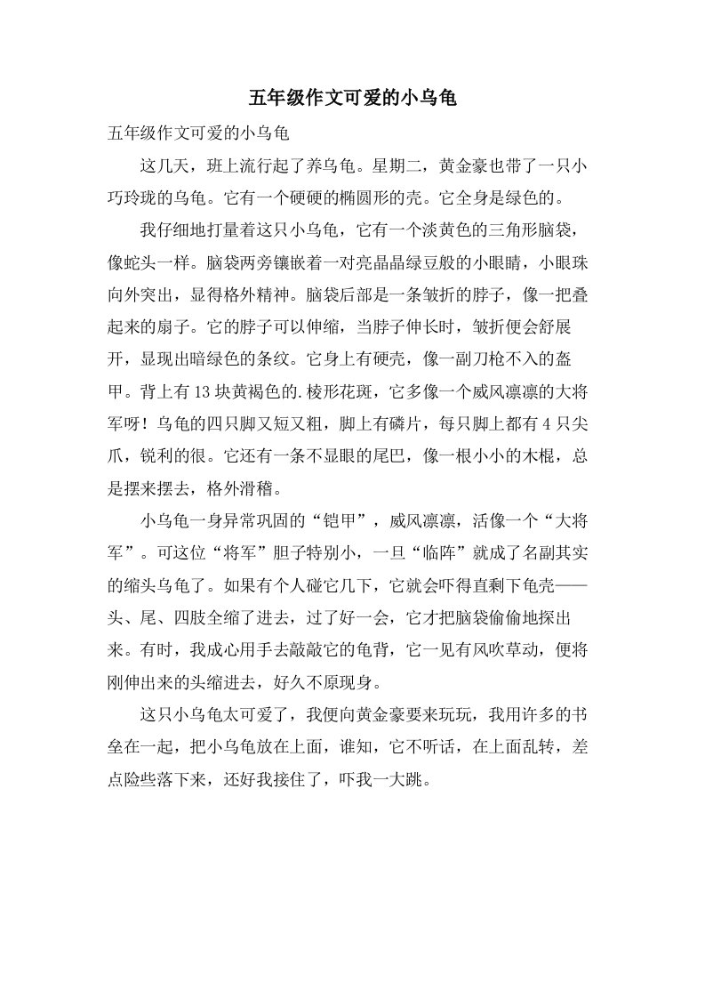 五年级作文可爱的小乌龟