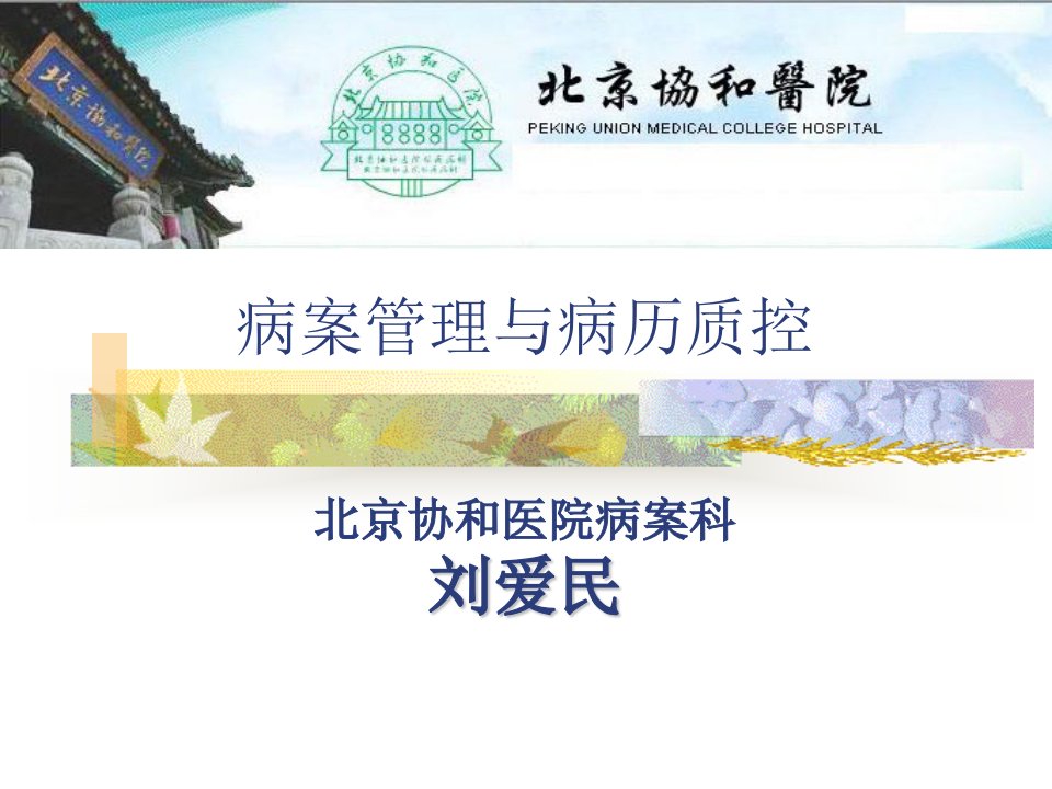 病案管理与病历质控刘爱民