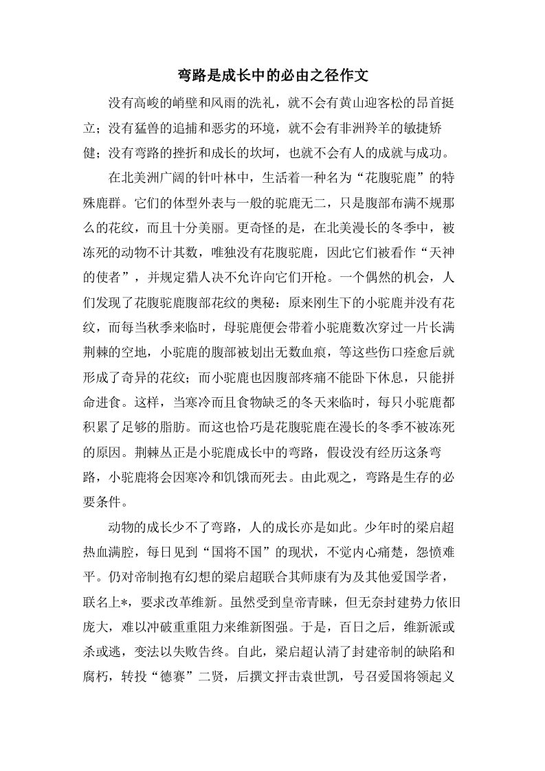 弯路是成长中的必由之径作文