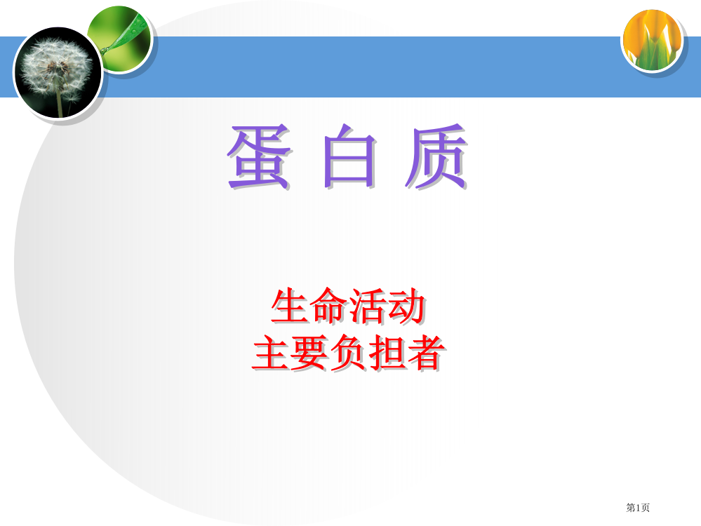 蛋白质专题复习二轮复习课件省公共课一等奖全国赛课获奖课件