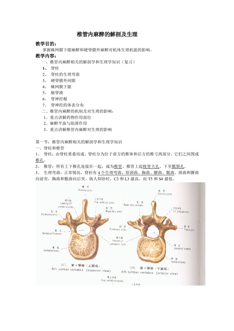 椎管内麻醉的解剖及生理