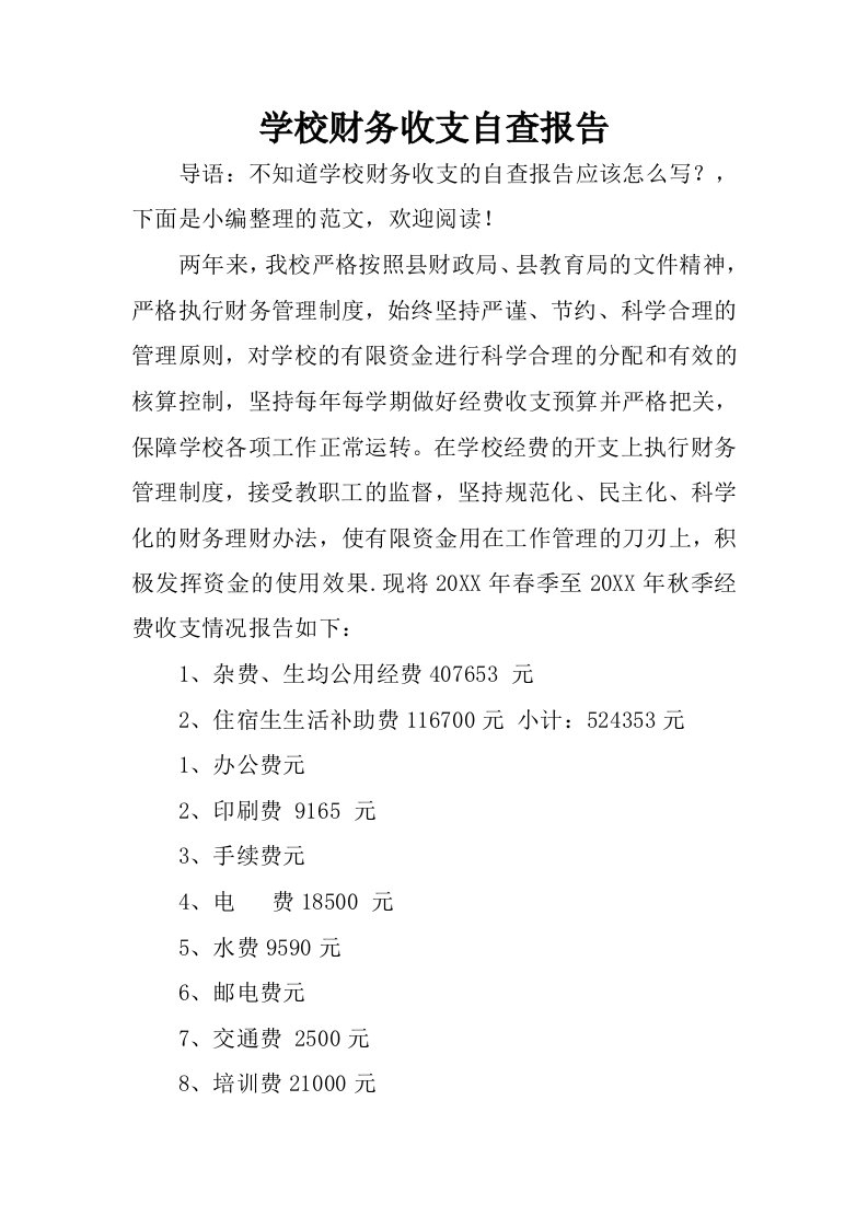 学校财务收支自查报告.docx