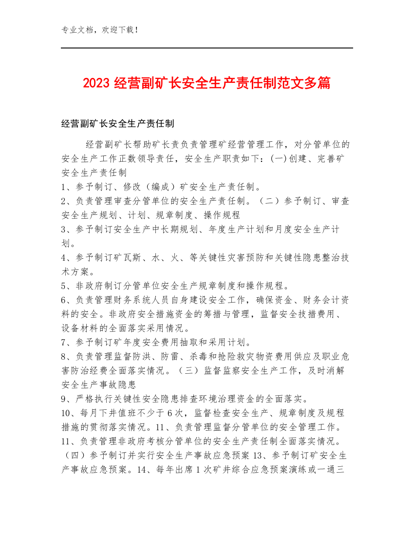 2023经营副矿长安全生产责任制范文多篇