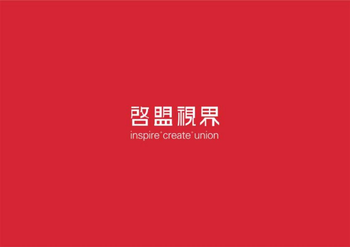 X年日照大象国际整合推广思路122P