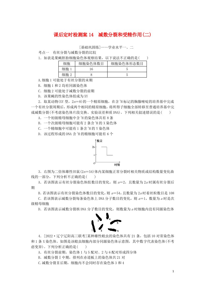 2023版新教材高考生物一轮复习课后定时检测案14减数分裂和受精作用二