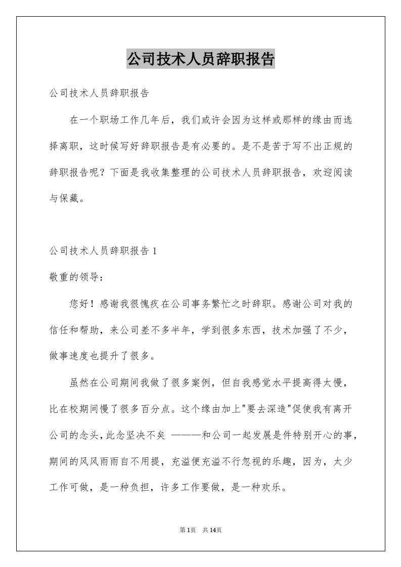 公司技术人员辞职报告精选