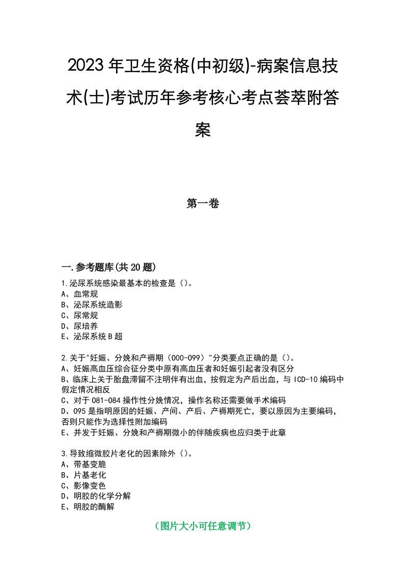 2023年卫生资格(中初级)-病案信息技术(士)考试历年参考核心考点荟萃附答案