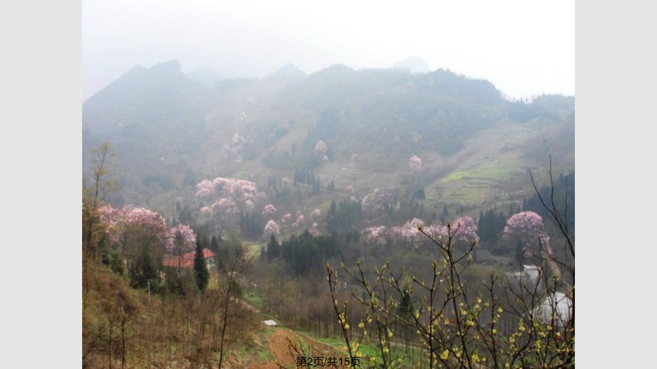 暮春归故山草堂配图欣赏