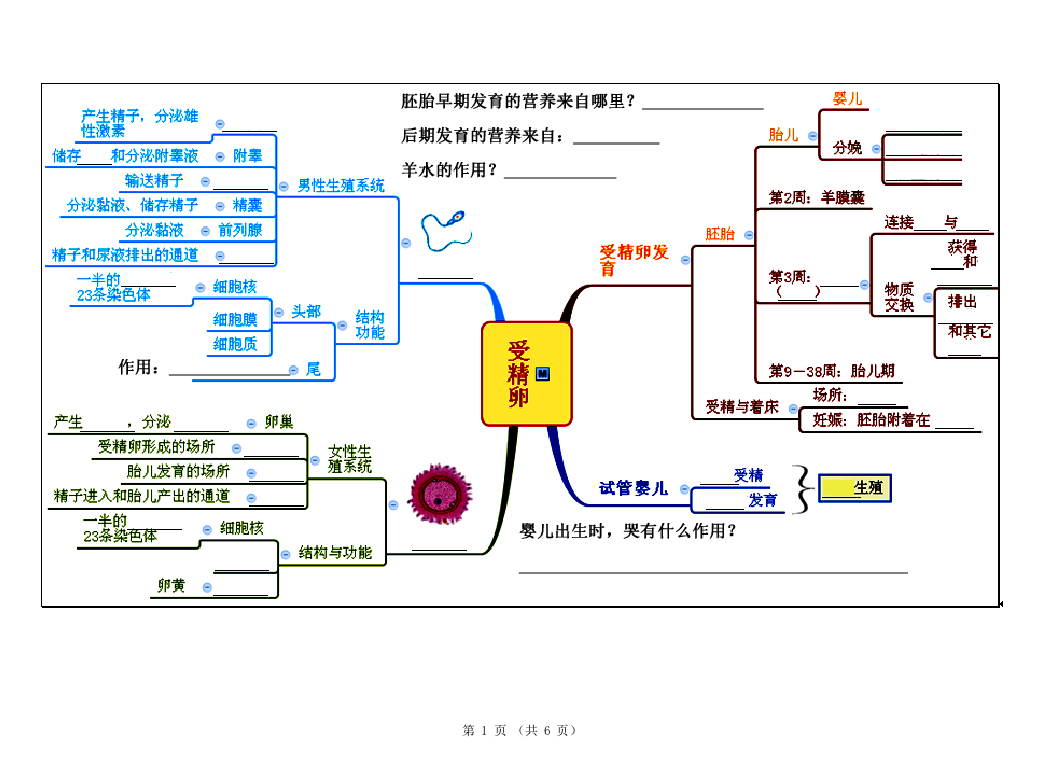 七年级下册代代相传的生命思维导图填空