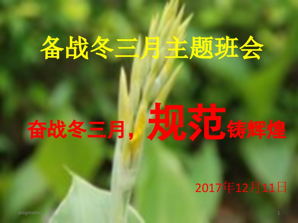 奋战冬三月主题班会【2017.12.11】--青少年教育精选