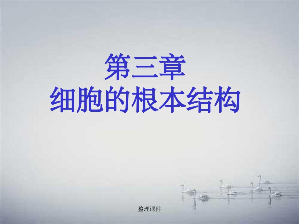 《细胞的基本结构》