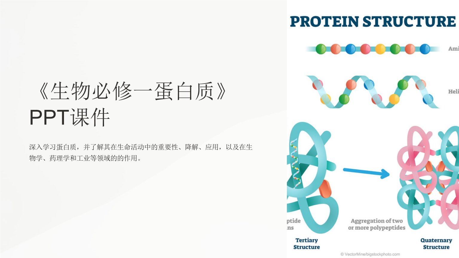 《生物必修一蛋白质》课件