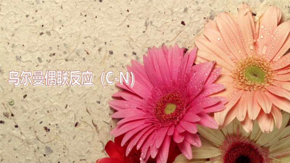 乌尔曼偶联反应(c-n)ppt