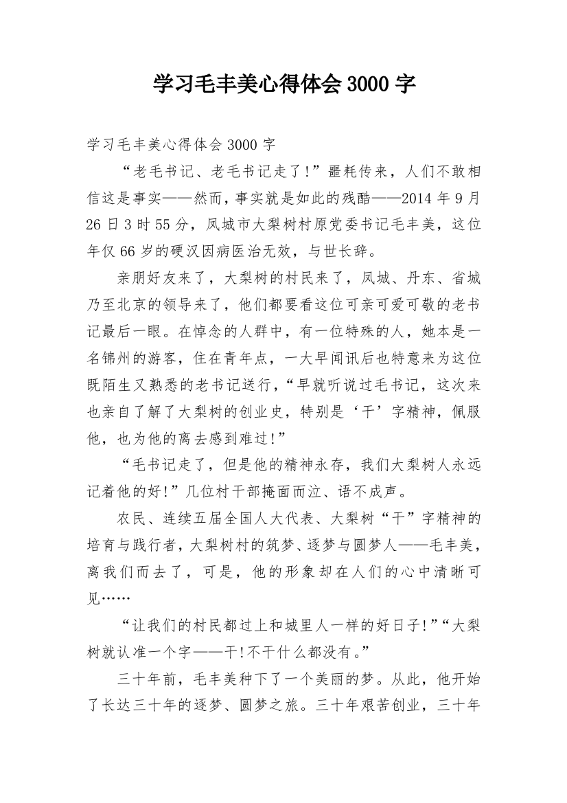 学习毛丰美心得体会3000字