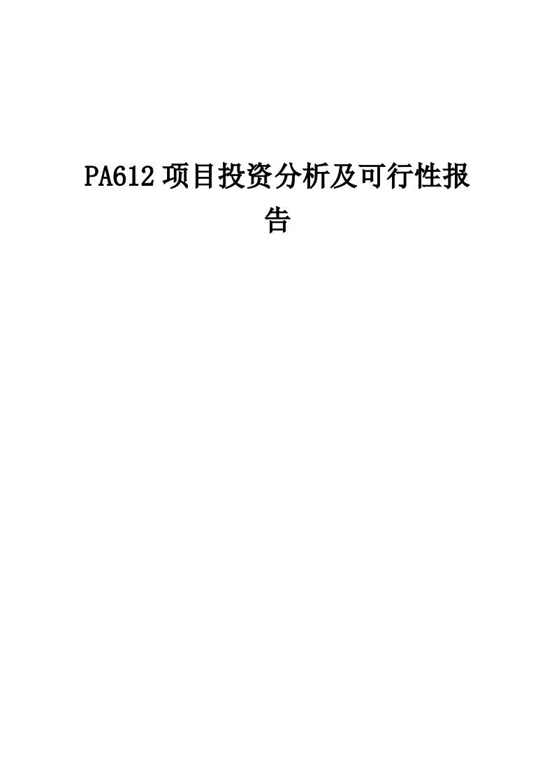 2024年PA612项目投资分析及可行性报告