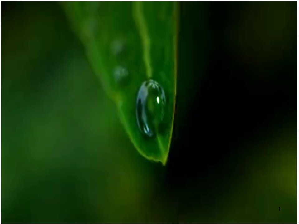 高一化学海带提碘与海水提溴课件