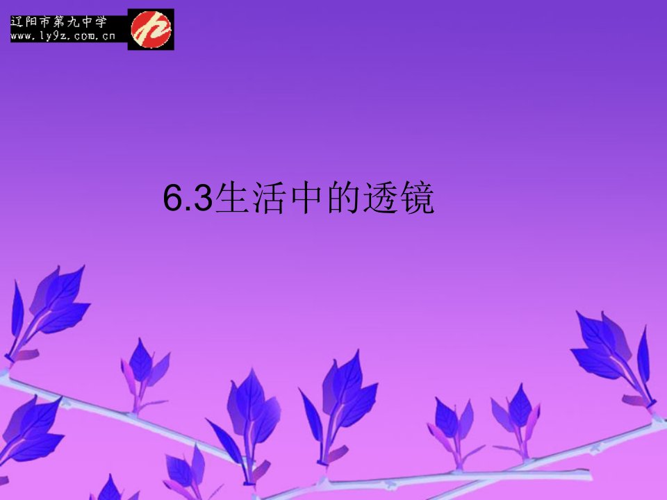 辽宁省辽阳市第九中学八年级物理下册导学案课件：6.3