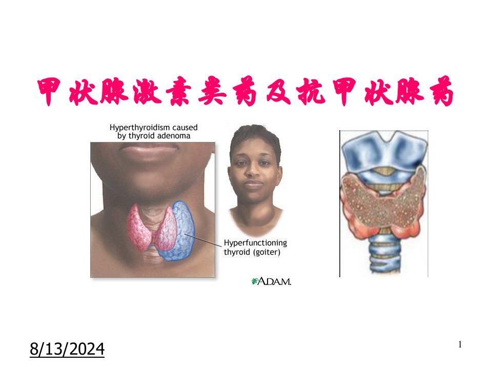 药理学12