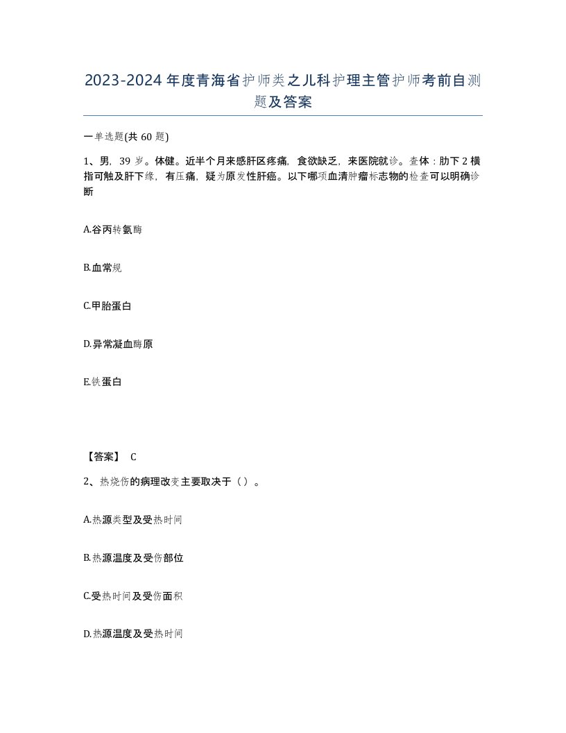 2023-2024年度青海省护师类之儿科护理主管护师考前自测题及答案