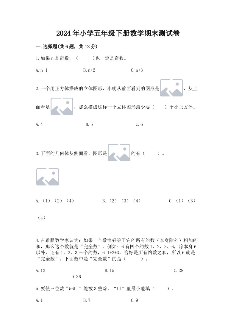 2024年小学五年级下册数学期末测试卷精品【必刷】