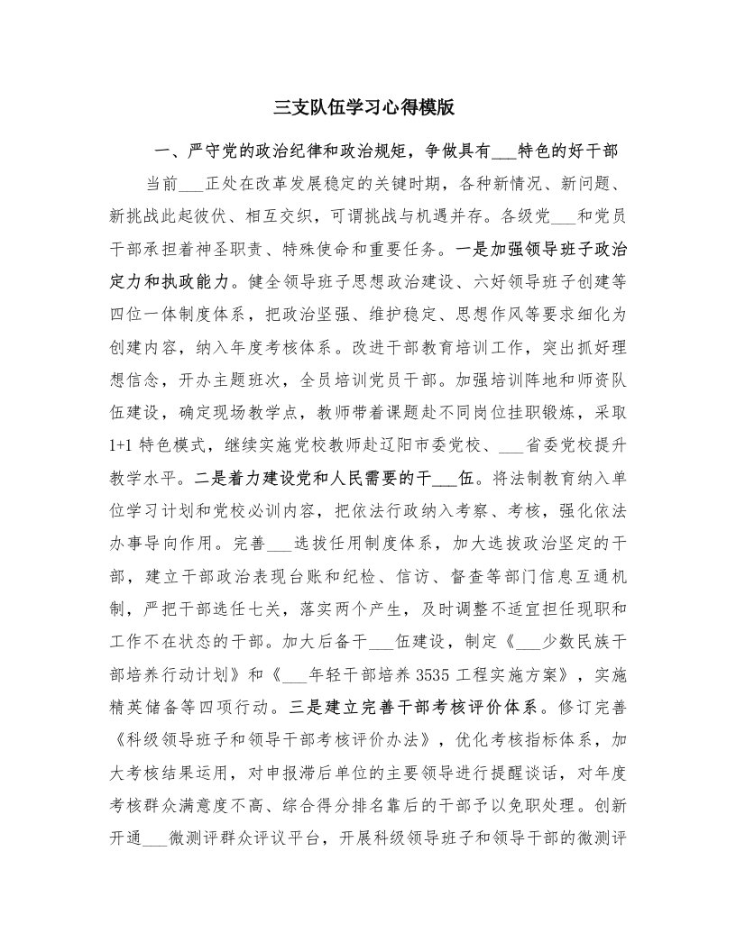 三支队伍学习心得模版